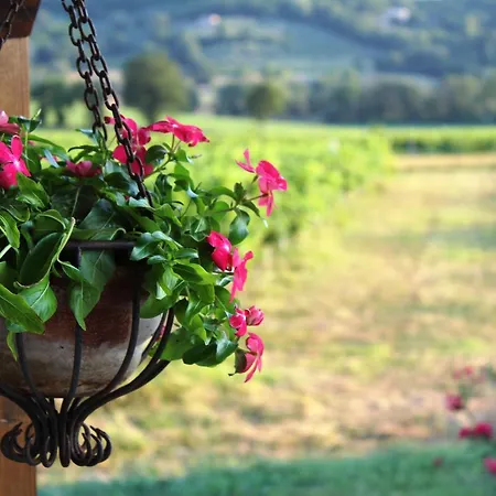 Le Vakantieboerderij