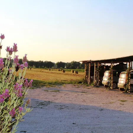 Alojamento de Turismo Rural Le *