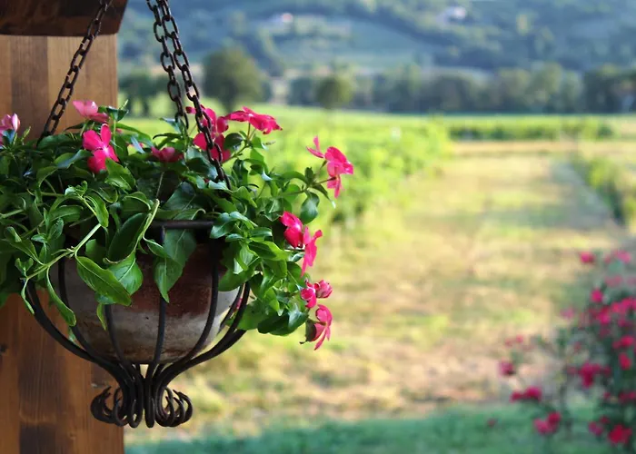 Le Κατάλυμα σε φάρμα