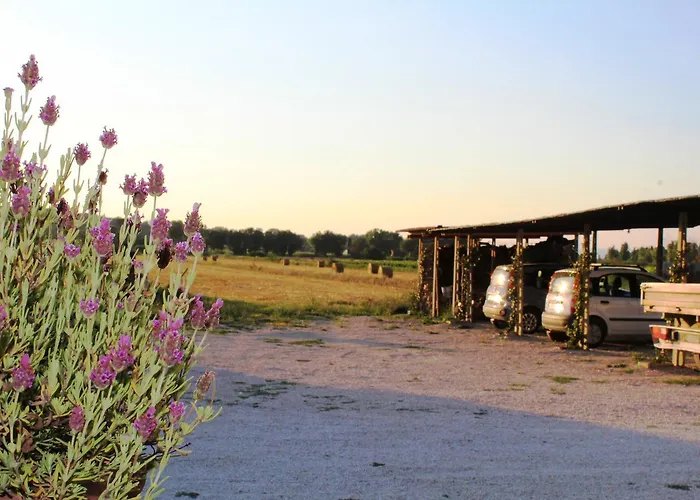 Çiftlik konaklama Le *