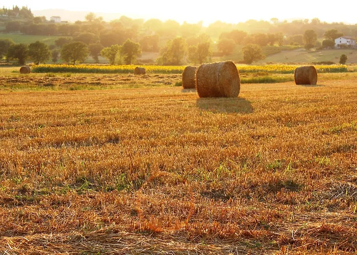Çiftlik konaklama Le